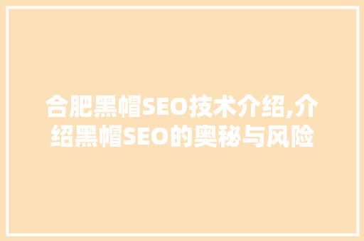合肥黑帽SEO技术介绍,介绍黑帽SEO的奥秘与风险