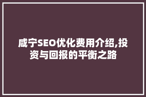 咸宁SEO优化费用介绍,投资与回报的平衡之路