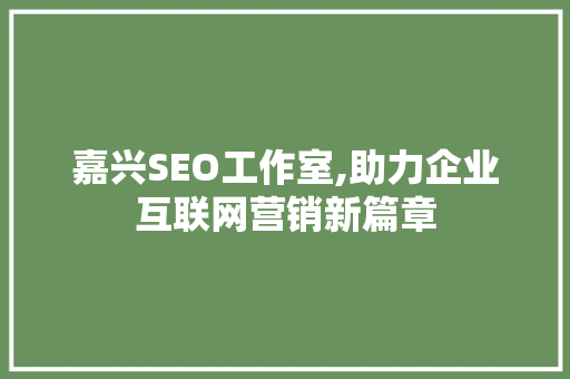 嘉兴SEO工作室,助力企业互联网营销新篇章 SEO关键词
