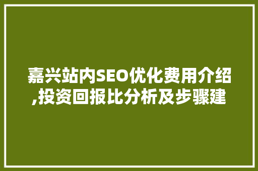 嘉兴站内SEO优化费用介绍,投资回报比分析及步骤建议 网站建设公司