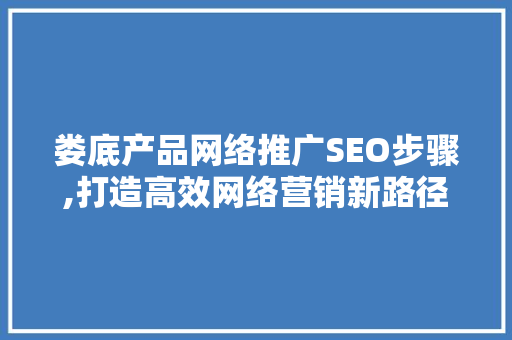 娄底产品网络推广SEO步骤,打造高效网络营销新路径 SEO关键词
