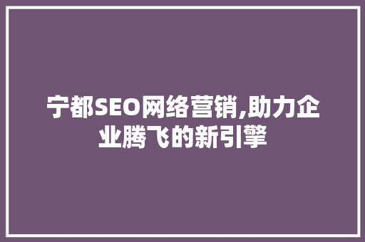 宁都SEO网络营销,助力企业腾飞的新引擎