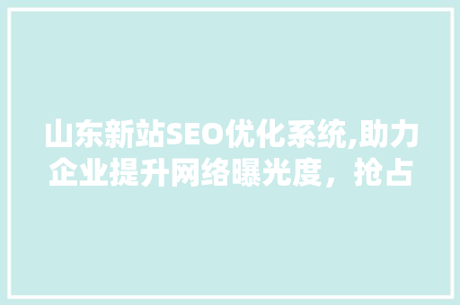 山东新站SEO优化系统,助力企业提升网络曝光度，抢占市场先机