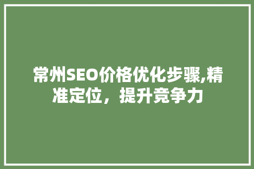 常州SEO价格优化步骤,精准定位，提升竞争力