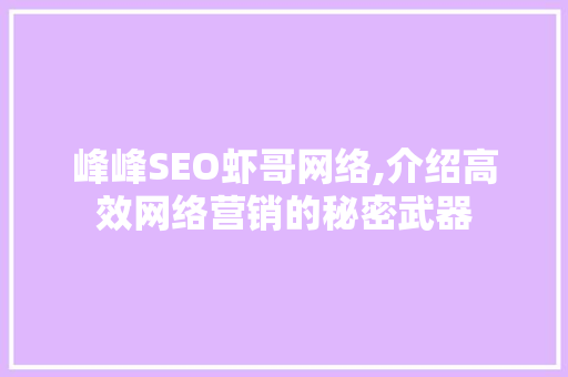峰峰SEO虾哥网络,介绍高效网络营销的秘密武器