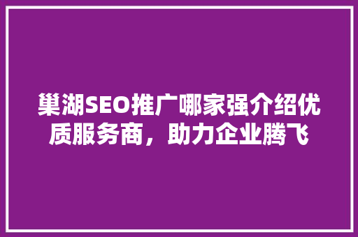 巢湖SEO推广哪家强介绍优质服务商，助力企业腾飞