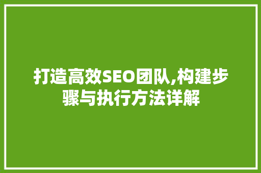 打造高效SEO团队,构建步骤与执行方法详解