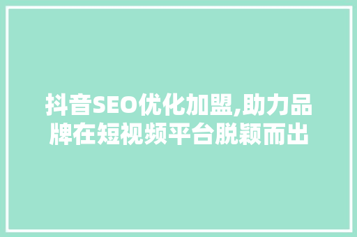 抖音SEO优化加盟,助力品牌在短视频平台脱颖而出