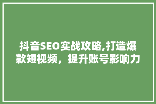抖音SEO实战攻略,打造爆款短视频，提升账号影响力