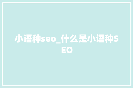 小语种seo_什么是小语种SEO