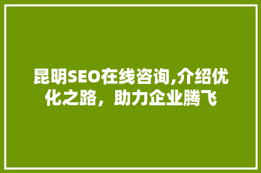 昆明SEO在线咨询,介绍优化之路，助力企业腾飞