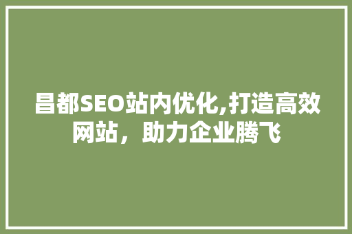昌都SEO站内优化,打造高效网站，助力企业腾飞