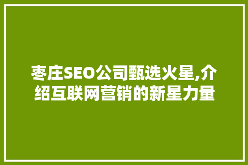 枣庄SEO公司甄选火星,介绍互联网营销的新星力量