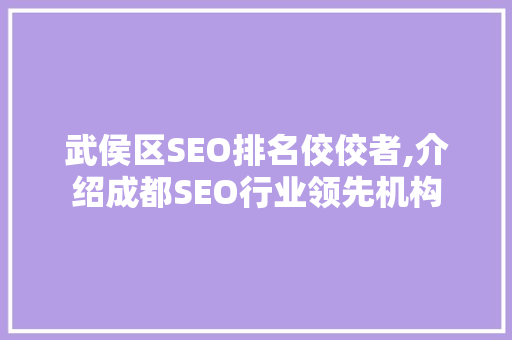 武侯区SEO排名佼佼者,介绍成都SEO行业领先机构
