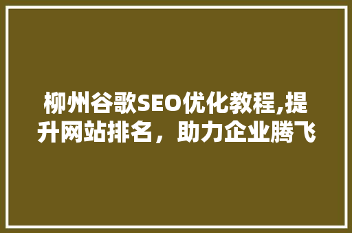 柳州谷歌SEO优化教程,提升网站排名，助力企业腾飞 搜狗SEO