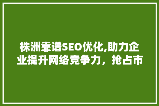 株洲靠谱SEO优化,助力企业提升网络竞争力，抢占市场先机 SEO关键词