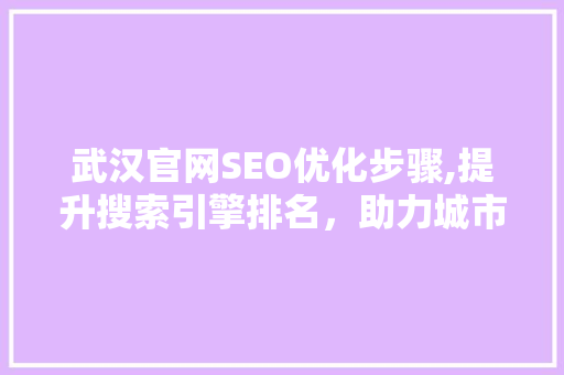 武汉官网SEO优化步骤,提升搜索引擎排名，助力城市品牌建设