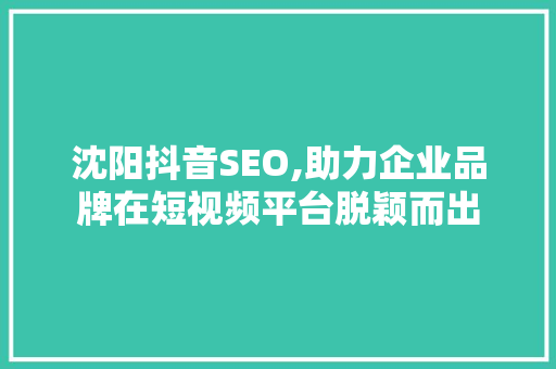 沈阳抖音SEO,助力企业品牌在短视频平台脱颖而出