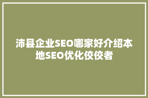 沛县企业SEO哪家好介绍本地SEO优化佼佼者 网站建设公司