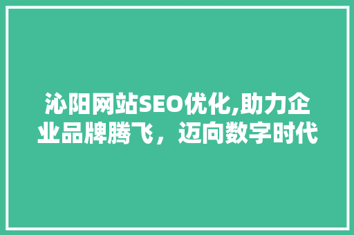 沁阳网站SEO优化,助力企业品牌腾飞，迈向数字时代新高峰 搜狗SEO