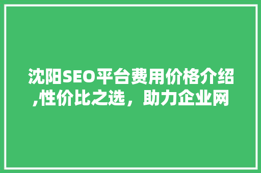 沈阳SEO平台费用价格介绍,性价比之选，助力企业网络营销 神马SEO
