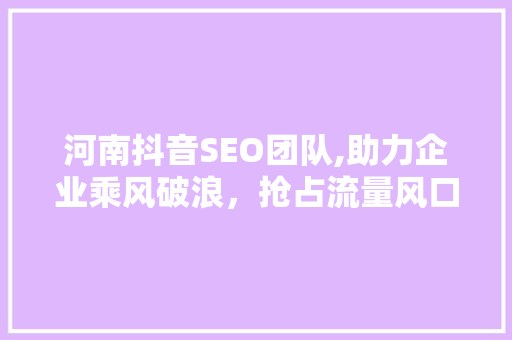 河南抖音SEO团队,助力企业乘风破浪，抢占流量风口 百度SEO