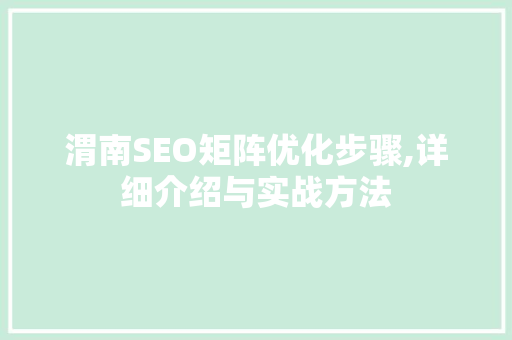 渭南SEO矩阵优化步骤,详细介绍与实战方法 网站建设公司