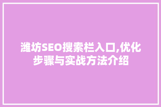 潍坊SEO搜索栏入口,优化步骤与实战方法介绍