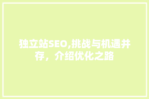 独立站SEO,挑战与机遇并存，介绍优化之路 SEO关键词