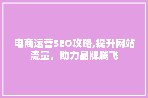 电商运营SEO攻略,提升网站流量，助力品牌腾飞