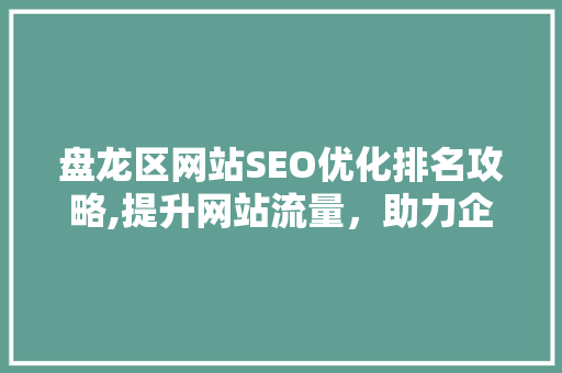 盘龙区网站SEO优化排名攻略,提升网站流量，助力企业腾飞