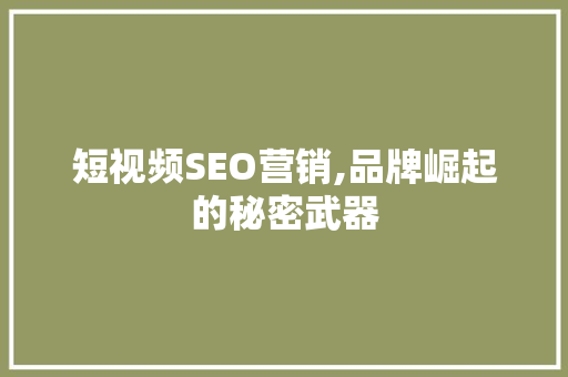 短视频SEO营销,品牌崛起的秘密武器