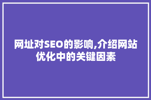 网址对SEO的影响,介绍网站优化中的关键因素 网站建设公司