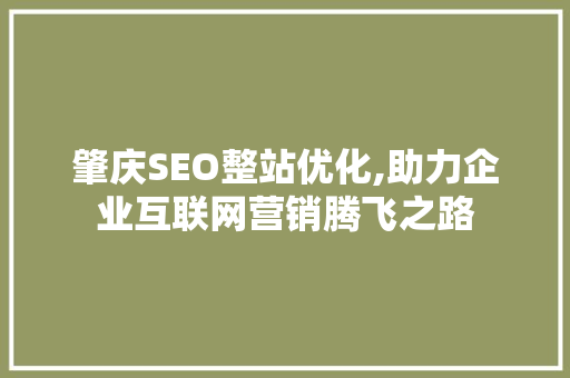 肇庆SEO整站优化,助力企业互联网营销腾飞之路