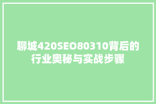 聊城420SEO80310背后的行业奥秘与实战步骤