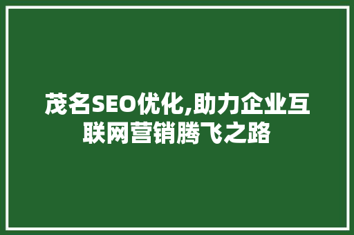 茂名SEO优化,助力企业互联网营销腾飞之路 网站建设公司