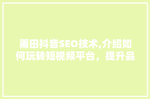 莆田抖音SEO技术,介绍如何玩转短视频平台，提升品牌影响力 网站建设公司