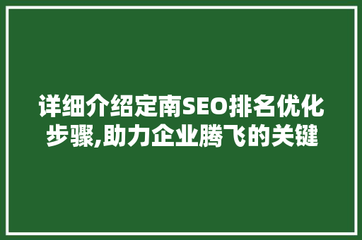详细介绍定南SEO排名优化步骤,助力企业腾飞的关键路径