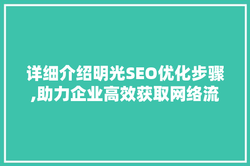 详细介绍明光SEO优化步骤,助力企业高效获取网络流量