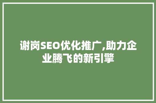 谢岗SEO优化推广,助力企业腾飞的新引擎