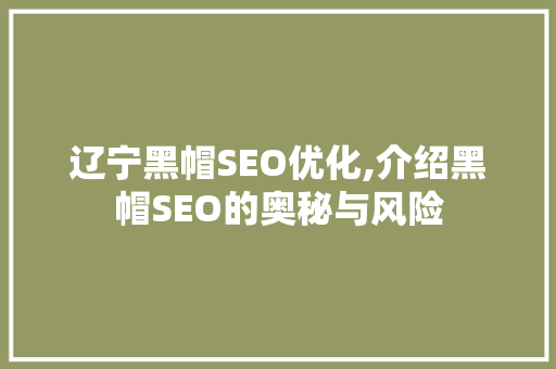 辽宁黑帽SEO优化,介绍黑帽SEO的奥秘与风险