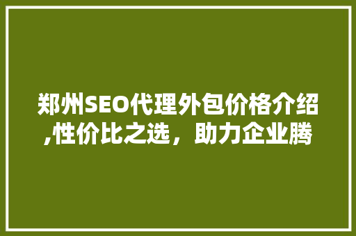 郑州SEO代理外包价格介绍,性价比之选，助力企业腾飞