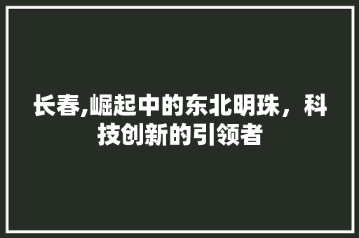 长春,崛起中的东北明珠，科技创新的引领者 网站建设公司