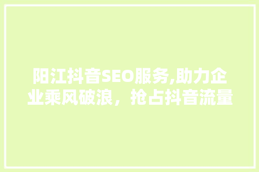 阳江抖音SEO服务,助力企业乘风破浪，抢占抖音流量红利
