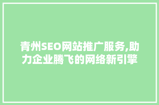 青州SEO网站推广服务,助力企业腾飞的网络新引擎