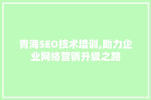 青海SEO技术培训,助力企业网络营销升级之路