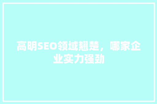 高明SEO领域翘楚，哪家企业实力强劲