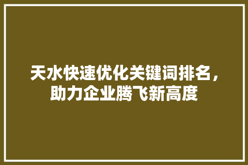 天水快速优化关键词排名，助力企业腾飞新高度