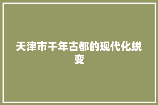天津市千年古都的现代化蜕变 SEO关键词