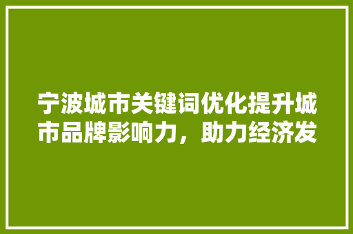宁波城市关键词优化提升城市品牌影响力，助力经济发展